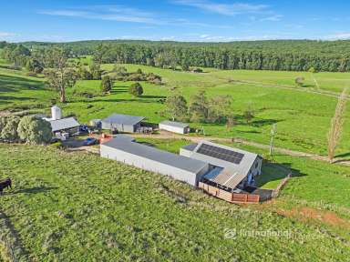 Farm For Sale - VIC - Boolarra South - 3870 - 260 Acres of Agricultural Excellence: A Legacy Property with Endless Possibilities  (Image 2)