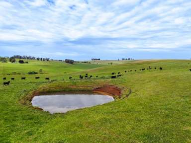 Farm Auction - VIC - Konongwootong - 3315 - AUCTION Friday December 13th at 1 PM. 272.21 Ac - 110.16 Ha approx.  (Image 2)