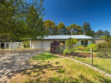 Farm For Sale - TAS - Wilmot - 7310 - Views of Lake Barrington and Mt Roland  (Image 2)