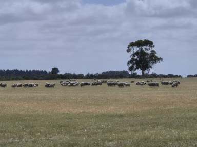 Farm For Sale - WA - Merivale - 6450 - Murra Murra, 2866 Fisheries Road, Neridup  (Image 2)