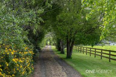 Farm For Sale - TAS - Elliott - 7325 - “Harmony Rises” - Beautiful Home With Lush Land!  (Image 2)