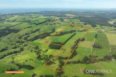 Farm For Sale - TAS - Elliott - 7325 - “Harmony Rises” - Beautiful Home With Lush Land!  (Image 2)