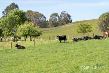 Farm For Sale - TAS - Elliott - 7325 - “Harmony Rises” - Beautiful Home With Lush Land!  (Image 2)