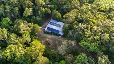 Farm For Sale - QLD - East Trinity - 4871 - 342 Acres, Off Grid Living and Farming  (Image 2)