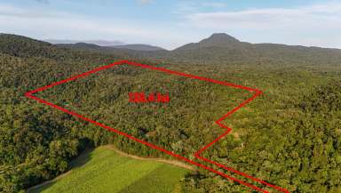 Farm For Sale - QLD - East Trinity - 4871 - 342 Acres, Off Grid Living and Farming  (Image 2)