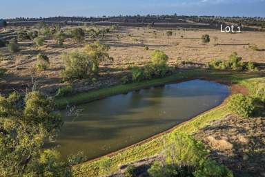 Farm Tender - QLD - Roma - 4455 - Established Stockfeed Manufacturing and Vacant Land Opportunity!  (Image 2)