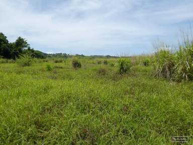 Farm For Sale - QLD - Eaton - 4860 - BANANA LAND FOR LEASE  (Image 2)