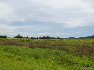 Farm For Sale - QLD - Eaton - 4860 - BANANA LAND FOR LEASE  (Image 2)