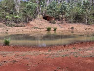 Farm For Sale - QLD - Blackbutt - 4314 - 98.84 acres Grazing Land, Shed, Power, Dam and Bore.  (Image 2)