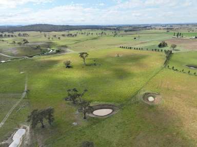 Farm Auction - NSW - Yarrowford - 2370 - Mimosa  (Image 2)