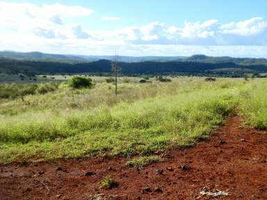 Farm For Sale - QLD - Binjour - 4625 - SCRUB GRAZING BLOCK (BOTTLE TREE & BRIGALOW)  (Image 2)