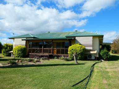 Farm For Sale - QLD - Binjour - 4625 - SCRUB GRAZING BLOCK (BOTTLE TREE & BRIGALOW)  (Image 2)