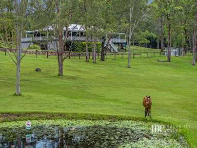 Farm For Sale - QLD - Wights Mountain - 4520 - Stunning Family Home on Fully Usable Acreage  (Image 2)