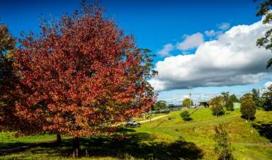 Farm For Sale - NSW - Willsons Downfall - 2372 - An Exclusive Opportunity for Agriculture, Recreation, and Luxe Accommodation Development  (Image 2)