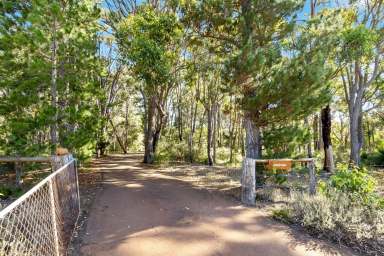 Farm For Sale - WA - Margaret River - 6285 - Private Bushland Sanctuary  (Image 2)