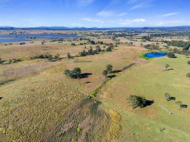 Farm For Sale - QLD - Lower Wonga - 4570 - BEST OF THE WEST  (Image 2)