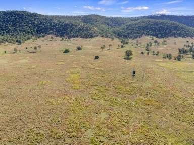 Farm For Sale - QLD - Lower Wonga - 4570 - BEST OF THE WEST  (Image 2)