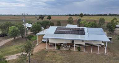 Farm For Sale - NSW - Gurley - 2398 - Rare 100 Acre Block close to town!  (Image 2)