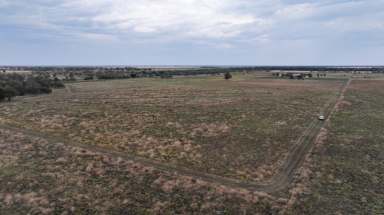 Farm For Sale - NSW - Gurley - 2398 - Rare 100 Acre Block close to town!  (Image 2)