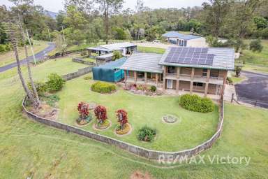 Farm For Sale - QLD - Wamuran - 4512 - Spacious Split-level Family Home, Granny Flat and Original Cottage - 5 acres - Two Homes  (Image 2)