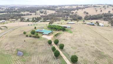 Farm For Sale - NSW - Young - 2594 - ON HIGH  (Image 2)