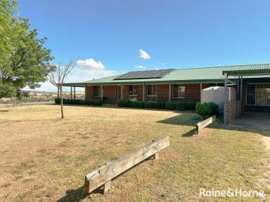 Farm For Sale - NSW - Young - 2594 - ON HIGH  (Image 2)