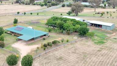 Farm For Sale - NSW - Young - 2594 - ON HIGH  (Image 2)