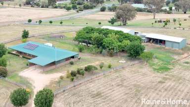 Farm For Sale - NSW - Young - 2594 - ON HIGH  (Image 2)