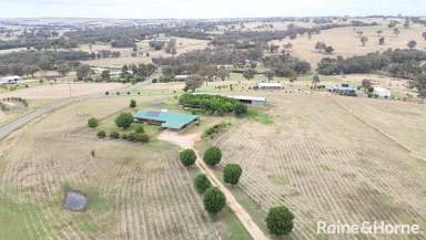 Farm For Sale - NSW - Young - 2594 - ON HIGH  (Image 2)