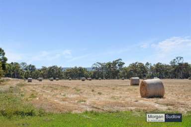 Farm For Sale - WA - Hopeland - 6125 - Superb Farmland on 120 Acres  (Image 2)