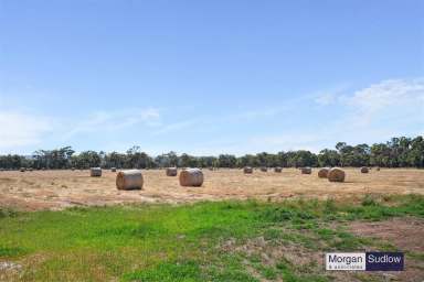 Farm For Sale - WA - Hopeland - 6125 - Superb Farmland on 120 Acres  (Image 2)