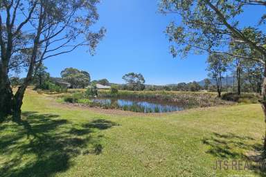 Farm For Sale - NSW - Muswellbrook - 2333 - Room for a Pony or two!  (Image 2)