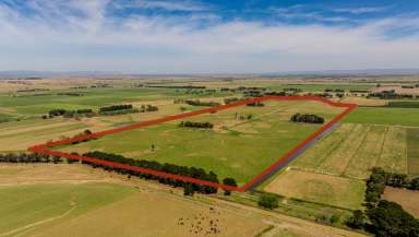 Farm For Sale - VIC - Nambrok - 3847 - 89 Acres of M.I.D Irrigation Country  (Image 2)