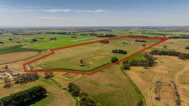 Farm For Sale - VIC - Nambrok - 3847 - 89 Acres of M.I.D Irrigation Country  (Image 2)