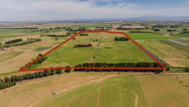 Farm For Sale - VIC - Nambrok - 3847 - 89 Acres of M.I.D Irrigation Country  (Image 2)