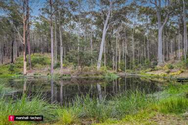 Farm For Sale - NSW - Barragga Bay - 2546 - Elegant Mud Brick Home on 37 Acres - Near Barragga Bay's  Beaches  (Image 2)