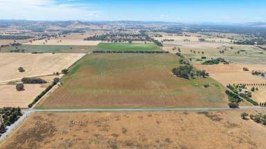 Farm For Sale - NSW - Howlong - 2643 - OUTSTANDING INVESTMENT OPPORTUNITY  (Image 2)