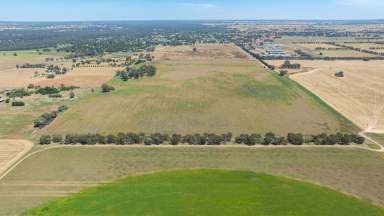 Farm For Sale - NSW - Howlong - 2643 - OUTSTANDING INVESTMENT OPPORTUNITY  (Image 2)