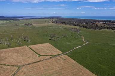 Farm For Sale - TAS - Smithton - 7330 - Seven Mile Beach - Stanley  (Image 2)