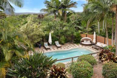 Farm For Sale - QLD - Cooran - 4569 - 6 Acre Estate in the Picturesque Noosa Hinterland  (Image 2)