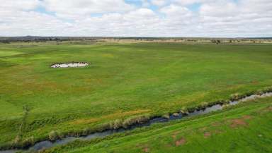 Farm For Sale - VIC - Breakaway Creek - 3303 - Drought Proof Evergreen Outpaddock  (Image 2)