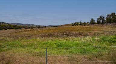 Farm For Sale - NSW - Wellington - 2820 - BANG FOR YOUR BUCK  (Image 2)