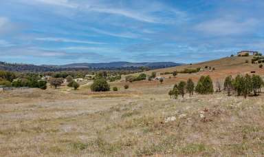 Farm For Sale - NSW - Wellington - 2820 - BANG FOR YOUR BUCK  (Image 2)