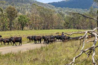 Farm For Sale - QLD - Clifton - 4361 - Whispering Hollow-Pilton Valley  (Image 2)