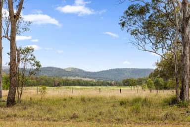 Farm For Sale - QLD - Clifton - 4361 - Whispering Hollow-Pilton Valley  (Image 2)