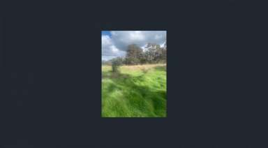 Farm For Sale - VIC - Redbank - 3477 - Over Five Acres, Perfect Weekender  (Image 2)