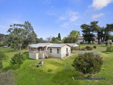 Farm For Sale - VIC - Yea - 3717 - Private Hideaway In Town  (Image 2)