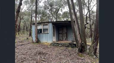 Farm For Sale - VIC - Drummond North - 3446 - Hideaway in Drummond  (Image 2)