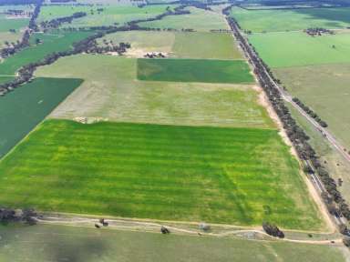 Farm For Sale - VIC - Arnold - 3551 - Expression Of Interest Open: 6th Nov 2024 & closed 6th Dec 2024 @ 3:30pm  (Image 2)