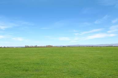 Farm For Sale - VIC - Catani - 3981 - Prime Grazing 100 acres Catani/Modella  (Image 2)